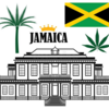 ジャマイカ政府とハーバード大学が大麻開発の提携！​