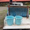企業共同放流(吉田川)実施