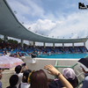 フウナ in リアル　2024・８月　鴨川シーワールド ～その９～