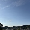 夜光虫の海に集まる人々