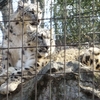 今年も目指せコンプリート！ 〜④多摩動物公園　その2