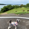 オフ会 〜 in 浜名湖　(*´▽｀* )