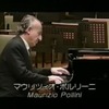 Listening to Schönberg "Sound egalitarianism" and the future of the Japanese trend