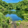 頭無堤（新潟県小千谷）