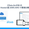 CData ArcESB のCloud Hosted 版（AWS AMI）で環境を構成する