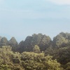 今朝の景色