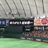 30週５日〜野球観戦〜