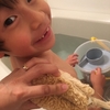 次男の幼稚園
