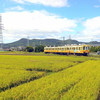 田畑が広がった田園風景とコトデンの車両が通過