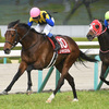 競馬初心者必見☆馬券予想🔥〜阪神大賞典〜アリストテレスは鉄板級です！！〜