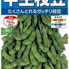 書くことあり日記：オクラの芽が出てこない