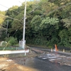 台風の爪痕とジャパンカップ。