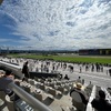 京都競馬場～三冠馬誕生の地～