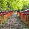 京都・洛北の青もみじプチトリップ！？