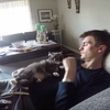 「猫の動画」ゲームを邪魔されるけど実は癒されている男性