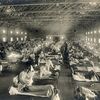じじぃの「カオス・地球_392_死因の人類史・第5章・スペイン風邪」