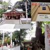 熱海の来宮神社で樹齢2千年以上の大クスからパワーとご利益を貰えたかな！？