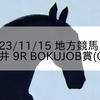 2023/11/15 地方競馬 大井競馬 9R BOKUJOB賞(C1)
