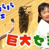 8月10日の動画