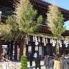 川崎大師に早めの初詣？