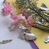 〈ひびき〉写真倶楽部　作品紹介
