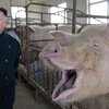 【金正恩養豚場視察】【Live and Let Die】大日本帝国末期より悲惨な食糧事情の暗喩？
