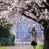 桜の下のその風景に笑顔あり