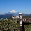 富士山を挟んじゃったりして