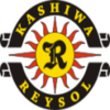 Salaries of J.League Kashiwa Reysol Players, 2015