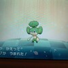 色猿その1