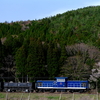 本日は桜咲く岩手開発鉄道へ