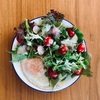 腰掛け菜園 | オヤジのラディッシュとコラボしたサラダ