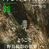 ようこそ『野鳥撮影の世界』へ