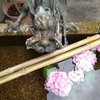 京都紫陽花巡り！見頃の花を満喫、穴場スポットも🌿