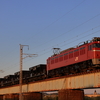朝日を浴びて雄物川を渡る、EF81-139の牽引する尾久常駐ホキ800の廃車回送を撮る！