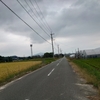 日曜の寝坊。