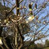 朝の散歩「平和公園」してきました。