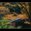 三波石峡の紅葉