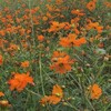 エアコン28℃設定の呪縛