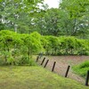 赤塚公園の藤～つくば市とその周辺の風景写真案内（４０２）