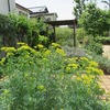 緑の創作園・・花がいっぱい・・（東京都武蔵野市）