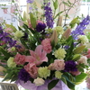 DAILY FLOWERS!!