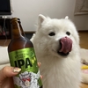 動物ラベル