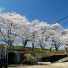 ｢ぶらりとカメラを片手に･･･。」いつもと同じ桜ですが 今年の桜は凄く綺麗に感じた…。 