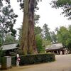 お盆休みの墓参りと神社（香取神宮）での浄化