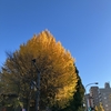 自分を精一杯生きたらいい
