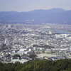 鳩対策後の寄り道