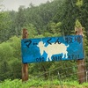 雨模様の中にヤギくん