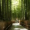 夏秋の報国寺 杉本寺 御霊神社で緑に癒され、鎌倉らしい御朱印帳を受ける