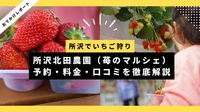 所沢北田農園（苺のマルシェ）でいちご狩り｜予約方法・料金・口コミを徹底解説